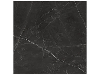Nero Venato 24x24 Honed Tile & Stone by Anatolia Tile