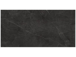 Nero Venato 24x48 Honed Tile & Stone by Anatolia Tile