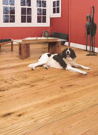 New Red Oak - Character 5/8” Engineered w/4mm Engineered Hardwood by K.D. Woods