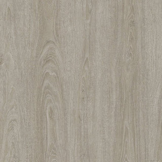Nuvola Bianca spc by Anchor Floor & Supply