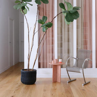 Oak Authentique 01 Lumia Engineered Hardwood by BerryAlloc