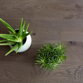 Oak Authentique 01 Silex Engineered Hardwood by BerryAlloc