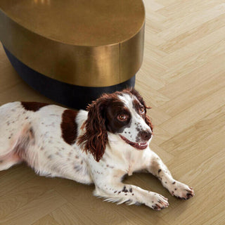 Oak Calm Nature Engineered Hardwood by BerryAlloc