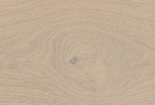 Oak Crystal White Engineered Hardwood by Anchor Floor & Supply