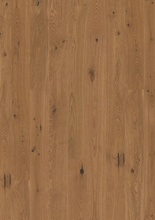 Oak Honey Vivo, 14mm Plank 138 Engineered Hardwood by Boen