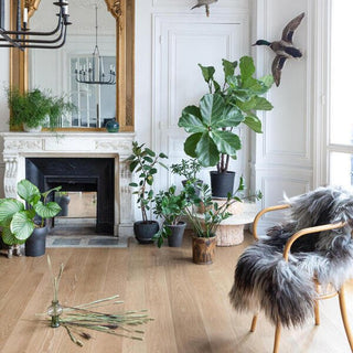 Oak Naturel 01 Pampa Engineered Hardwood by BerryAlloc
