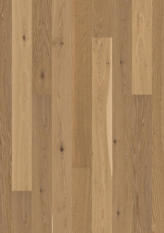 Oak Transparent Semi Smoked Animoso, 14mm Plank 138 Engineered Hardwood by Boen