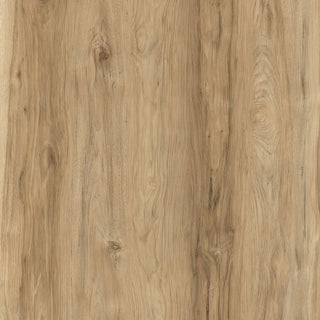 O.A.T. spc by TAS Flooring