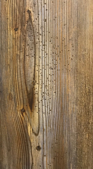 Olde Mill spc by Anchor Floor & Supply