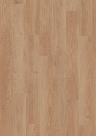 Conway Oak