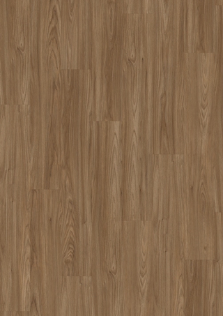 Brown Seaview Acacia