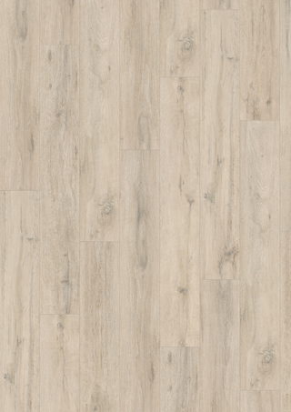 Chalky Oak