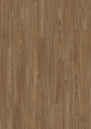 Brown Sheffield Acacia