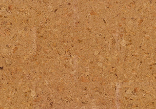Originals Shell Tile & Stone by Amorim Wise