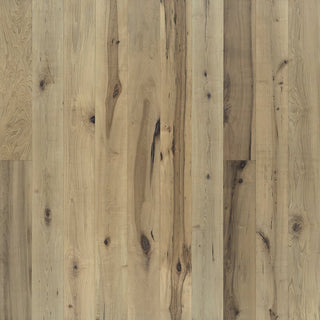 Orris Maple Engineered Hardwood by Hallmark Floors