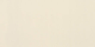 Paint Rectangle Matte Tile & Stone by American Olean
