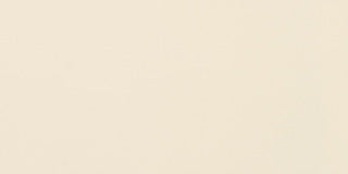 Paint Rectangle Polished Tile & Stone by American Olean