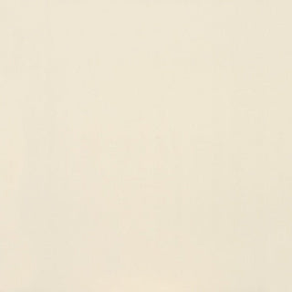 Paint Square Polished Tile & Stone by American Olean