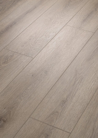 PALADIN PLUS - Ashen Brown spc by Shaw Floors