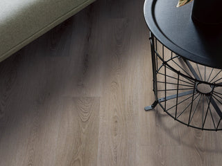 PALADIN PLUS - Ashen Brown spc by Shaw Floors