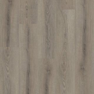 PALADIN PLUS - Ashen Brown spc by Shaw Floors