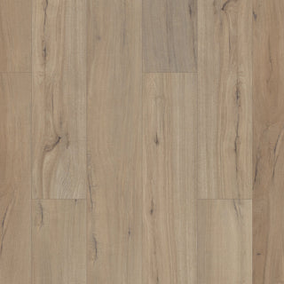 PALADIN PLUS - Driftwood spc by Shaw Floors
