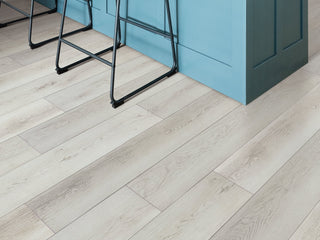 PALADIN PLUS - Feather Grey spc by Shaw Floors