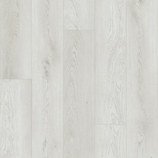 PALADIN PLUS - Feather Grey spc by Shaw Floors
