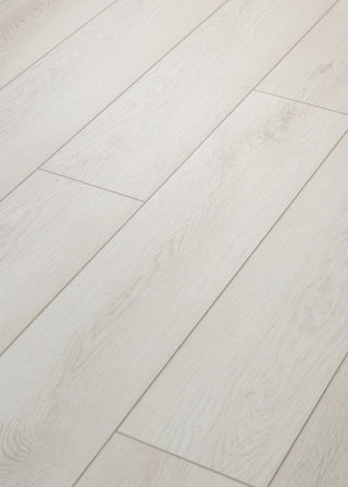 PALADIN PLUS - Feather Grey spc by Shaw Floors