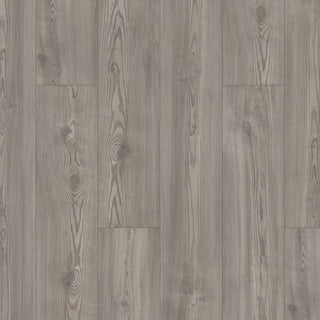 PALADIN PLUS - Fresh Pine spc by Shaw Floors