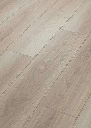 PALADIN PLUS - Lighthouse spc by Shaw Floors