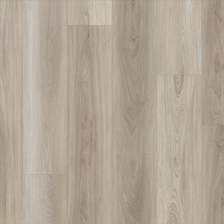 PALADIN PLUS - Lighthouse spc by Shaw Floors