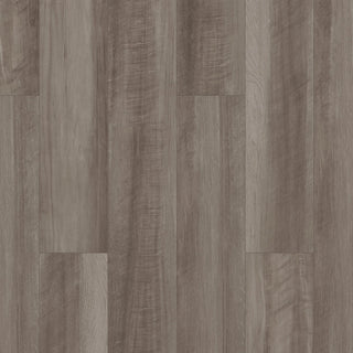 PALADIN PLUS - Oyster Oak spc by Shaw Floors