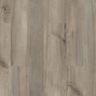 PALADIN PLUS - Sea Glass spc by Shaw Floors