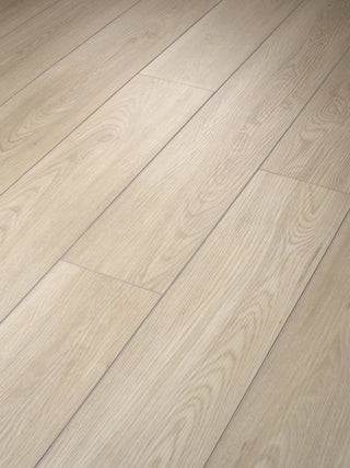 PALADIN PLUS - Silver Dollar spc by Shaw Floors
