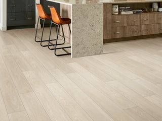 PALADIN PLUS - Silver Dollar spc by Shaw Floors