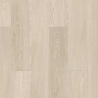 PALADIN PLUS - Silver Dollar spc by Shaw Floors