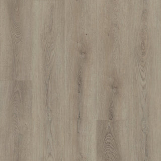 PALADIN PLUS - Toasted Taupe spc by Shaw Floors