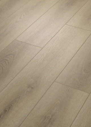 PALADIN PLUS - Toasted Taupe spc by Shaw Floors