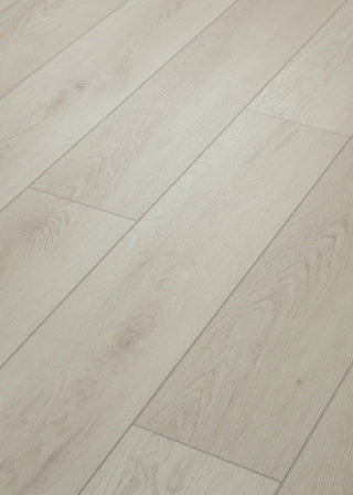 PALADIN PLUS - Warm Grey spc by Shaw Floors