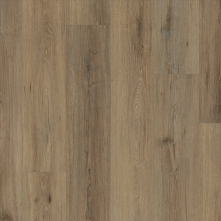 PALADIN PLUS - Wild Dunes spc by Shaw Floors