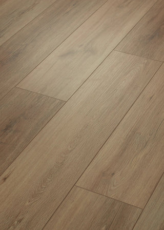 PALADIN PLUS - Wild Dunes spc by Shaw Floors