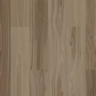 PANTHEON HD+ NATURAL BEVEL - Bluff Vinyl by Shaw Floors