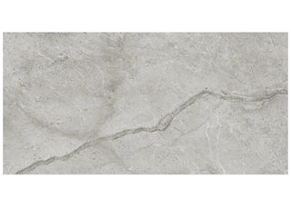 Paradiso Argento 12x24 Honed Tile & Stone by Anatolia Tile