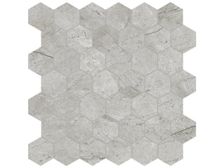 Paradiso Argento 2" Hexagon Polished Tile & Stone by Anatolia Tile
