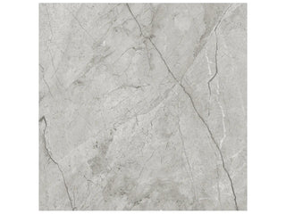 Paradiso Argento 24x24 Polished Tile & Stone by Anatolia Tile