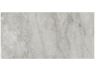 Paradiso Argento 24x48 Polished Tile & Stone by Anatolia Tile