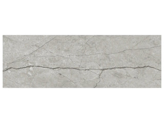 Paradiso Argento 4x12 Polished Tile & Stone by Anatolia Tile