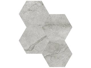 Paradiso Argento 6" Hexagon Polished Tile & Stone by Anatolia Tile