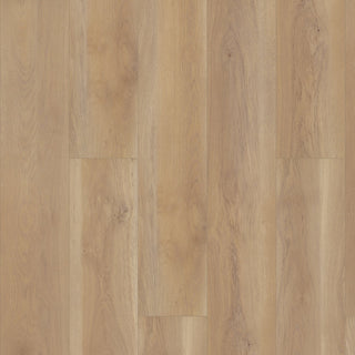 PARAGON HD+NATURAL BEVEL - Edgemont spc by Shaw Floors
